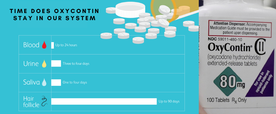 How much time does Oxycontin stay in our system?