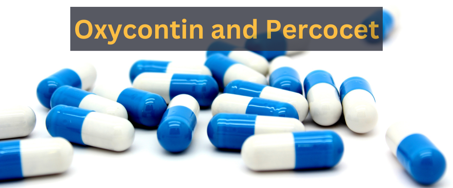 What are Oxycontin and Percocet